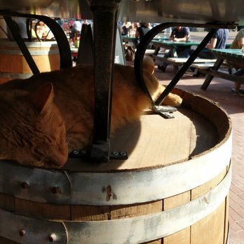 Cafe Bax - Gastropubs Near Me - Amsterdam, New Hampshire