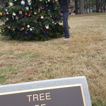 Calvary Cemetery - The Memorial tree. - Funeral Services & Cemeteries Near Me - Louisville, Kentucky Calvary Cemetery - The Memorial tree. - Funeral Services & Cemeteries Near Me - Louisville, Kentucky