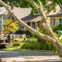 Photo of Hendrickson Tree Care Company