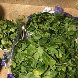 Vegetable