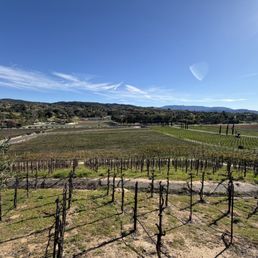 Views of the winery from Cougar Vineyard and Winery Views of the winery from Cougar Vineyard and Winery