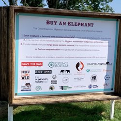 Salve Regina University - Buy an Elephant.