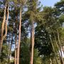 Photo of Kaiserpark