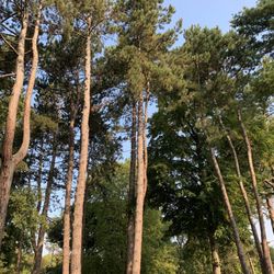 Kaiserpark