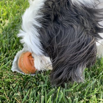 Three Dog Bakery - Pet Stores Near Me - Las Vegas, Nevada Three Dog Bakery - Pet Stores Near Me - Las Vegas, Nevada