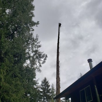 A Great American Tree Service - Tree Services Near Me - Bremerton, Washington A Great American Tree Service - Tree Services Near Me - Bremerton, Washington
