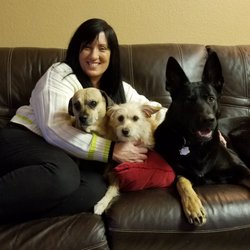 All Species Nurse - Me with Gus (Pugshund [pug/dachshund mix],Jax [Terrier] and Hana (Black and caramel Shepherd]