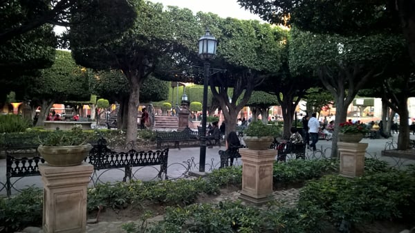 Jardín Allende by null