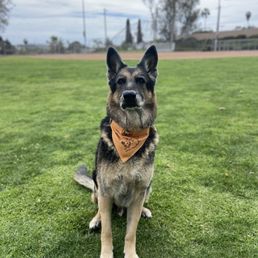 Zeus Zeus