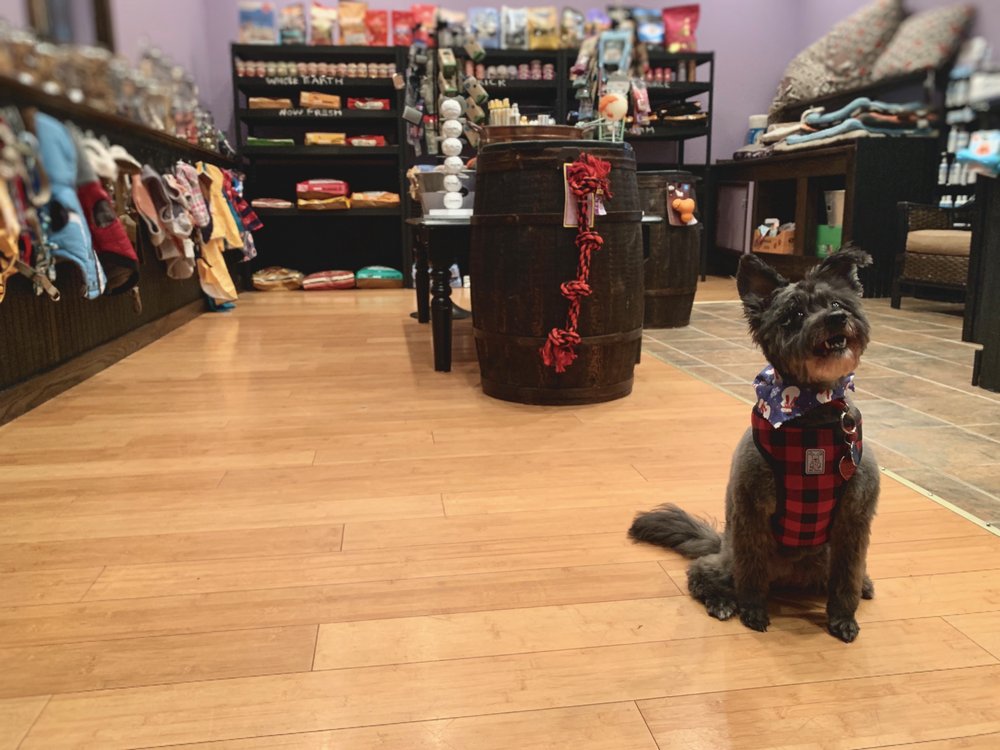 BUDDIES PET SPA 17 Photos 1899 Ocean St S, Marshfield, MA Yelp