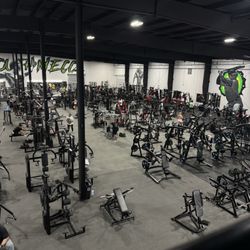 Species Gym