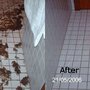 The Water Damage Experts
