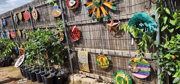 Green's Produce and Plants by null