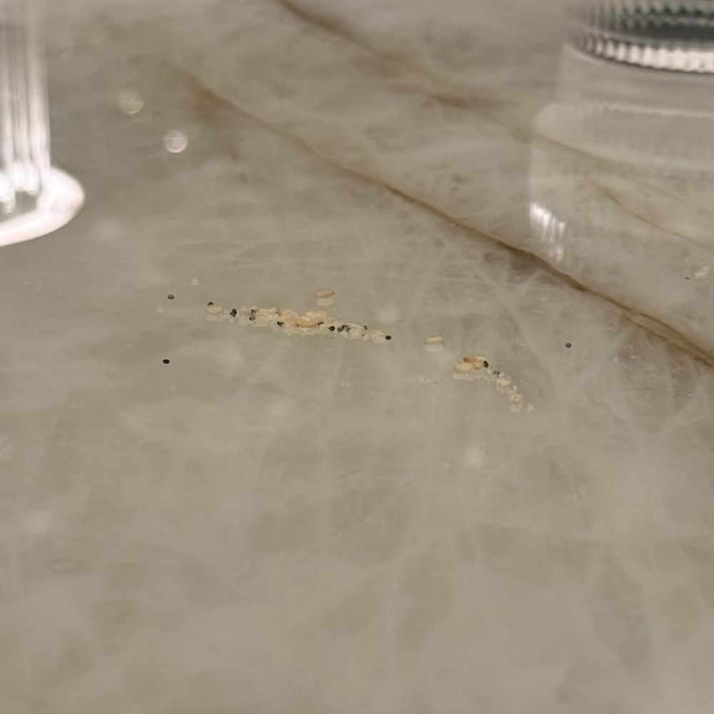 Lack of clean up. Lack of clean up.
