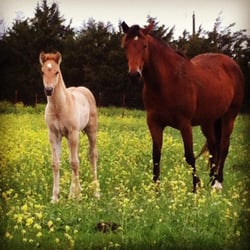 Circle JC Ranch