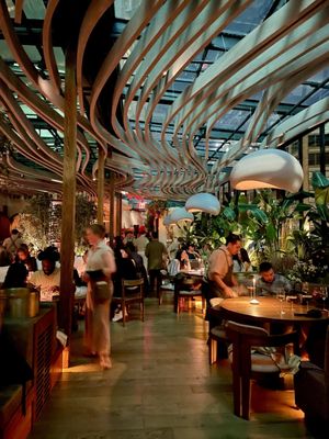 Mēdüzā Mediterrania New York by null