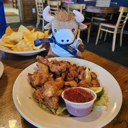 Rocky mountain oysters