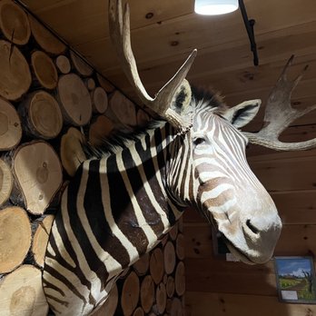 Stress Free Moose - a zebra with antlers on its head - Pubs Near Me - Greenville, Maine Stress Free Moose - a zebra with antlers on its head - Pubs Near Me - Greenville, Maine