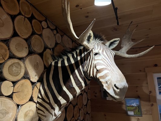 Stress Free Moose Pub & Cafe by null