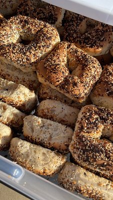 Galveston Bagel Company by null