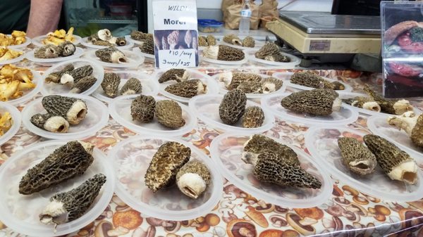 South Bend Farmer's Market by null