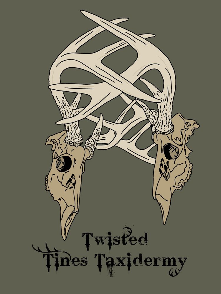 Twisted Tines Taxidermy - taxidermy in Jonesville, MI