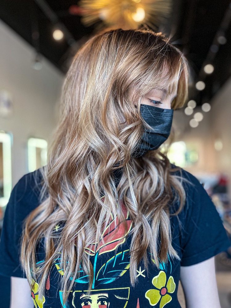 ELITE HAIR DESIGN 111 Photos 24 Reviews 654 White Plains Rd A 