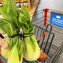 Winn-Dixie - They have really good baby bok choy