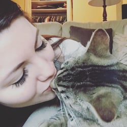 BC SPCA - My beautiful babe NOT found through the SPCA