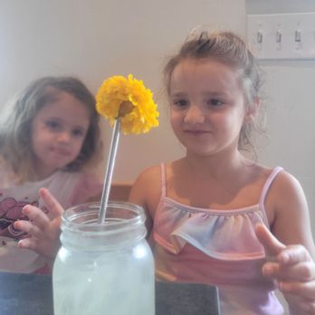 Vibe Cafe - Cafes Near Me - Hilo, Hawaii Vibe Cafe - Cafes Near Me - Hilo, Hawaii