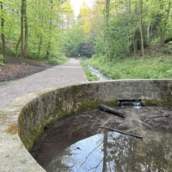 Quelle der Borbecke - Tal, aus dem die Quelle entspringt.