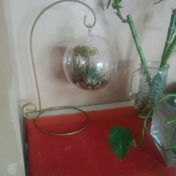 Geoponics - Love air plants - Florists Near Me - Mississauga, Ontario Geoponics - Love air plants - Florists Near Me - Mississauga, Ontario