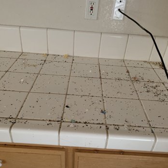 Motherlode Maids - ): disappointed - Home Cleaning Near Me - Ione, California