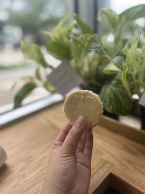 Lost Sock Roasters - Market & Cafe by null