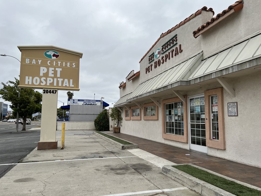 BAY CITIES PET HOSPITAL 86 Photos & 238 Reviews Veterinarians