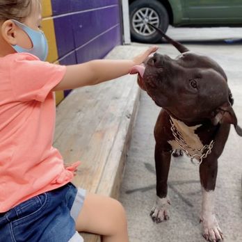Thyda's Tacos - My daughter and Duke - Tacos Near Me - Honolulu, Hawaii Thyda's Tacos - My daughter and Duke - Tacos Near Me - Honolulu, Hawaii