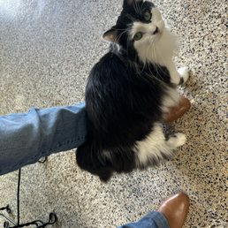 This is England, he was already adopted, otherwise I would have taken him home with me! A super sweetheart. This is England, he was already adopted, otherwise I would have taken him home with me! A super sweetheart.