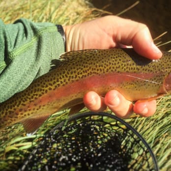 Hot Creek Ranch - Fishing Near Me - Mammoth Lakes, California
