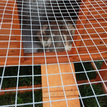 Davie Ranch - Bunny Rabbit - Venues & Event Spaces Near Me - Davie, Florida Davie Ranch - Bunny Rabbit - Venues & Event Spaces Near Me - Davie, Florida