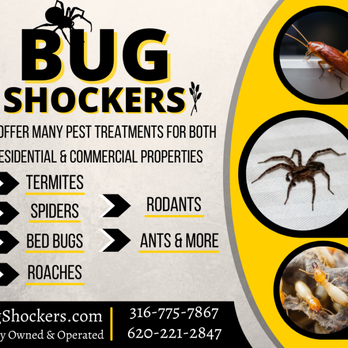 Bug Shockers - Pest Control Near Me Bug Shockers - Pest Control Near Me