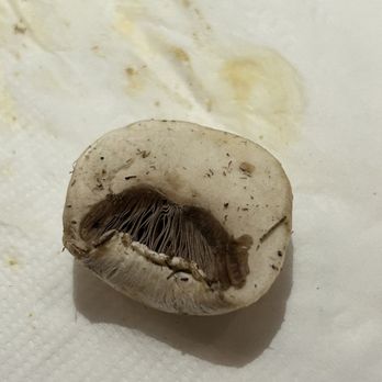 All That Shabu - Dirty mushrooms - Buffets Near Me - Alhambra, California