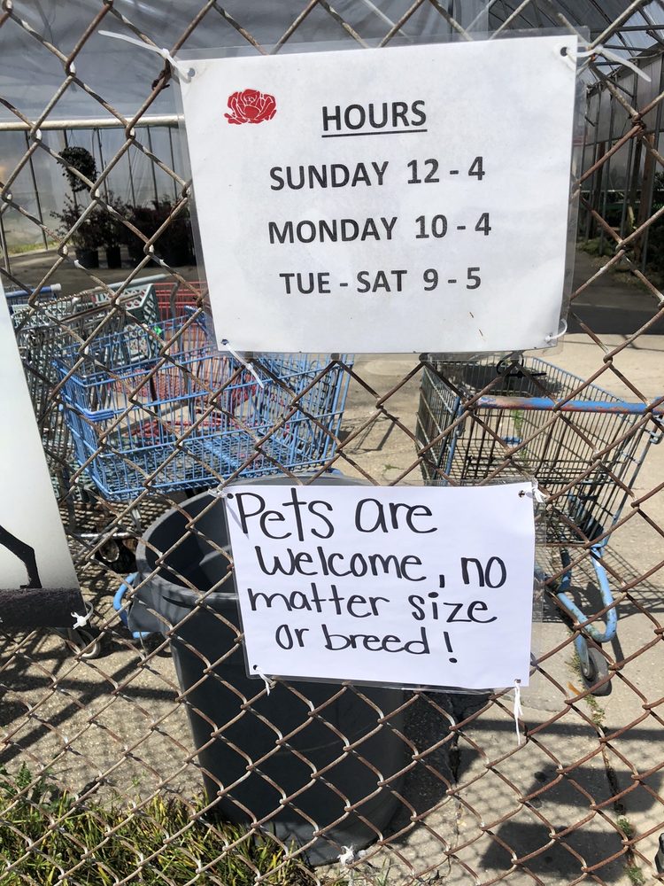 ROSE GARDEN & PET STORE Updated July 2024 20 Photos & 11 Reviews