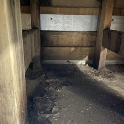 Golds Gym - Look at the floor. Is that black mold? They obviously mop the floors every day. Yeah right.