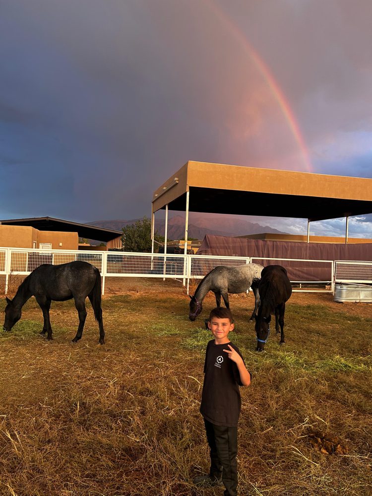 Bosque Equine Connections - equestrian in Corrales, NM