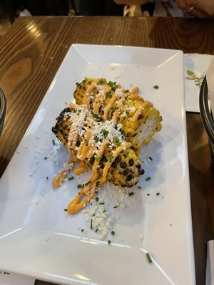 Iguana On Park by null