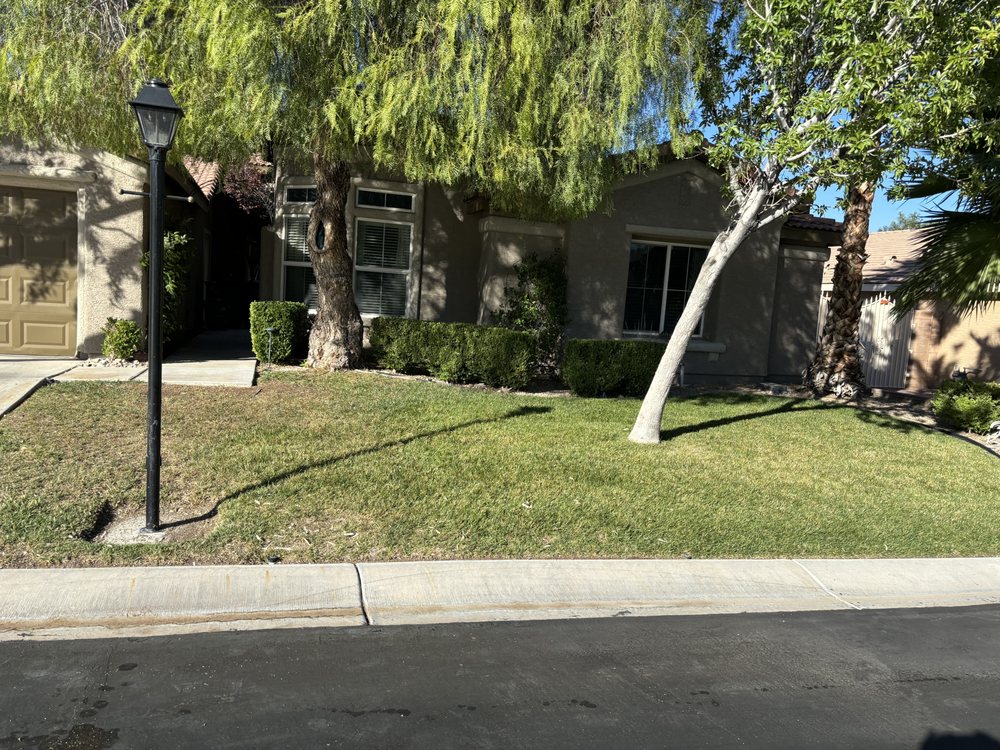 Casa Bonita Housekeeping and Landscaping - tree service in North Las Vegas, NV