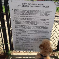 Ella and Friends Dog Park - Leia reading the rules