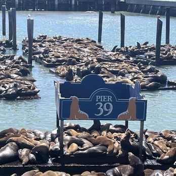 PIER 39 - Shopping Centers Near Me - San Francisco, California PIER 39 - Shopping Centers Near Me - San Francisco, California
