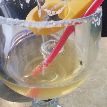 Salsa Tex Mex - Flies are bad, - Tex-Mex Near Me - Frisco, Texas Salsa Tex Mex - Flies are bad, - Tex-Mex Near Me - Frisco, Texas