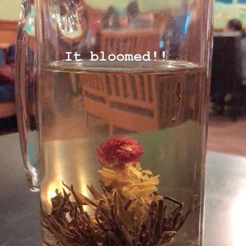 CK Cafe - Coffee & Tea Near Me - Claremont, California CK Cafe - Coffee & Tea Near Me - Claremont, California